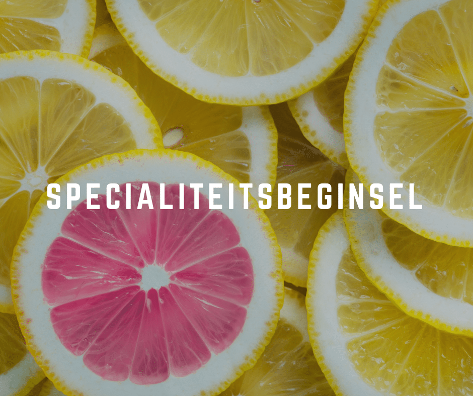 Specialiteitsbeginsel